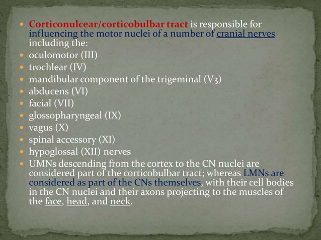 Motor tracts of brain and spinal cord | PPTX | Brain and Nervous System ...