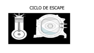 CICLO DE ESCAPE
 