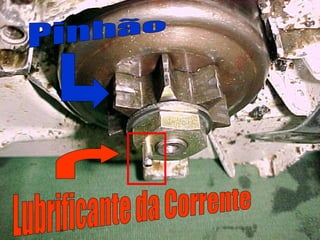 Pinhão Lubrificante da Corrente 