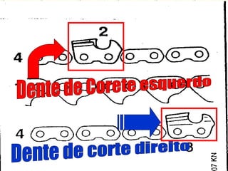 Dente de Corete esquerdo Dente de corte direito 