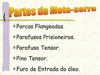 Porcas Flangeadas. Parafusos Prisioneiros. Parafuso Tensor. Pino Tensor. Furo de Entrada do óleo. Partes da Moto-serra 