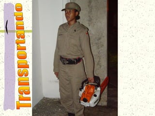 Transportando 