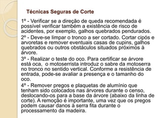 Técnicas Seguras de Corte
1º - Verificar se a direção de queda recomendada é
possível verificar também a existência de risco de
acidentes, por exemplo, galhos quebrados pendurados.
2º - Deve-se limpar o tronco a ser cortado. Cortar cipós e
arvoretas e remover eventuais casas de cupins, galhos
quebrados ou outros obstáculos situados próximos à
árvore.
3º - Realizar o teste do oco. Para certificar se árvore
está oca, o motoserrista introduz o sabre da motoserra
no tronco no sentido vertical. Conforme a resistência de
entrada, pode-se avaliar a presença e o tamanho do
oco.
4º - Remover pregos e plaquetas de alumínio que
tenham sido colocados nas árvores durante o censo,
deslocando-os para a base da árvore (abaixo da linha de
corte). A remoção é importante, uma vez que os pregos
podem causar danos à serra fita durante o
processamento da madeira.
 