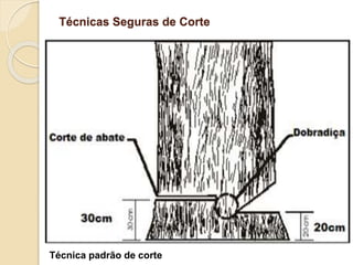 Técnicas Seguras de Corte
Técnica padrão de corte
 
