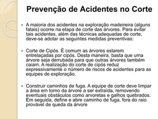 Prevenção de Acidentes no Corte
 A maioria dos acidentes na exploração madeireira (alguns
fatais) ocorre na etapa de corte das árvores. Para evitar
tais acidentes, além das técnicas adequadas de corte,
deve-se adotar as seguintes medidas preventivas:
 Corte de Cipós. É comum as árvores estarem
entrelaçadas por cipós. Desta maneira, basta que uma
árvore seja derrubada para que outras árvores também
caiam. A realização do corte de cipós reduz
expressivamente o número de riscos de acidentes para as
equipes de exploração.
 Construir caminhos de fuga. A equipe de corte deve limpar
a área em torno da árvore a ser extraída, removendo
eventuais obstáculos como arvoretas e galhos quebrados.
Em seguida, define e abre caminho de fuga, fora do raio
provável de queda da árvore
 