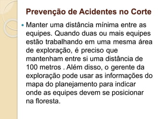 Prevenção de Acidentes no Corte
 Manter uma distância mínima entre as
equipes. Quando duas ou mais equipes
estão trabalhando em uma mesma área
de exploração, é preciso que
mantenham entre si uma distância de
100 metros . Além disso, o gerente da
exploração pode usar as informações do
mapa do planejamento para indicar
onde as equipes devem se posicionar
na floresta.
 