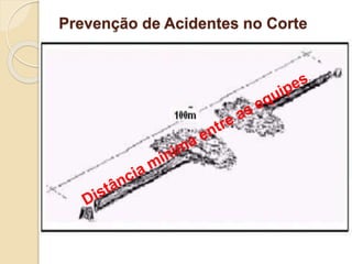 Prevenção de Acidentes no Corte
 
