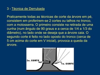 3 - Técnica de Derrubada
Praticamente todas as técnicas de corte da árvore em pé,
consistem em proferirem-se 2 cortes ou talhos no tronco,
com a motosserra. O primeiro consiste na retirada de uma
cunha (num ângulo de 90 graus e a cerca de 1/4 a 1/3 do
diâmetro), no lado onde se deseja que a árvore caia. O
segundo corte é feito no lado oposto do tronco (cerca de
5 cm acima do corte em V inicial), provoca a queda da
árvore.
 