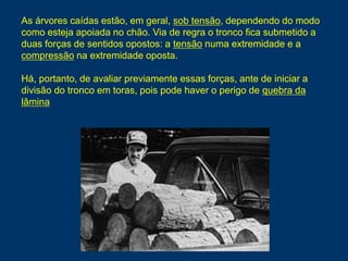 As árvores caídas estão, em geral, sob tensão, dependendo do modo
como esteja apoiada no chão. Via de regra o tronco fica submetido a
duas forças de sentidos opostos: a tensão numa extremidade e a
compressão na extremidade oposta.
Há, portanto, de avaliar previamente essas forças, ante de iniciar a
divisão do tronco em toras, pois pode haver o perigo de quebra da
lâmina
 
