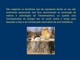 São inegáveis os benefícios que ela representa devido ao seu alto
rendimento operacional. Isso ficou demonstrado na construção da
rodovia e colonização da Transamazônica, ou quando uma
Concessionária de Energia tem de correr contra o tempo para
desmatar a área a ser tomada pelo reservatório de uma hidrelétrica.
 