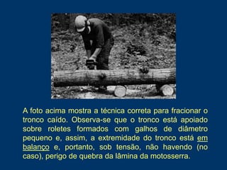 A foto acima mostra a técnica correta para fracionar o
tronco caído. Observa-se que o tronco está apoiado
sobre roletes formados com galhos de diâmetro
pequeno e, assim, a extremidade do tronco está em
balanço e, portanto, sob tensão, não havendo (no
caso), perigo de quebra da lâmina da motosserra.
 
