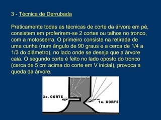 3 - Técnica de Derrubada
Praticamente todas as técnicas de corte da árvore em pé,
consistem em proferirem-se 2 cortes ou talhos no tronco,
com a motosserra. O primeiro consiste na retirada de
uma cunha (num ângulo de 90 graus e a cerca de 1/4 a
1/3 do diâmetro), no lado onde se deseja que a árvore
caia. O segundo corte é feito no lado oposto do tronco
(cerca de 5 cm acima do corte em V inicial), provoca a
queda da árvore.
 