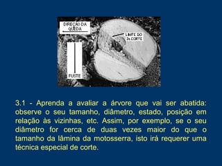 3.1 - Aprenda a avaliar a árvore que vai ser abatida:
observe o seu tamanho, diâmetro, estado, posição em
relação às vizinhas, etc. Assim, por exemplo, se o seu
diâmetro for cerca de duas vezes maior do que o
tamanho da lâmina da motosserra, isto irá requerer uma
técnica especial de corte.
 