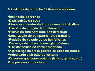 3.2 - Antes do corte, há 12 itens a considerar:
•Inclinação do tronco
•Distribuição da copa
•Limpeza em redor da árvore (área de trabalho)
•Escolha da direção de tombamento
•Escola da rota para uma possível fuga
•Localização do companheiro de trabalho
•Posição do veículo ou de benfeitorias
•Presença de linhas de energia próximas
•Uso da técnica de corte apropriada
•A presença de áreas podres ou ocas no tronco
•Velocidade e direção do vento, e
•Observar quaisquer objetos (frutos, galhos, etc.)
Que possam vir de cima.
 
