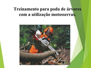 Treinamento para poda de árvores
com a utilização motosserras.
 