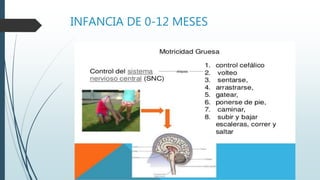 INFANCIA DE 0-12 MESES
 