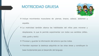 MOTRICIDAD GRUESA
 Incluye movimientos musculares de: piernas, brazos, cabeza, abdomen y
espalda.
 La motricidad también abarca las habilidades del niños para moverse y
desplazarse, lo que le permite experimentar con todos sus sentidos (olfato,
vista, gusto y tacto)
 Procesar y guardar la información del entorno que les rodea.
 Permiten expresar la destreza adquirida en las otras áreas y constituyen la
base fundamental para el desarrollo del lenguaje.
 
