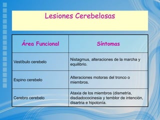 Lesiones Cerebelosas
Área Funcional Síntomas
Vestíbulo cerebelo
Nistagmus, alteraciones de la marcha y
equilibrio.
Espino cerebelo
Alteraciones motoras del tronco o
miembros.
Cerebro cerebelo
Ataxia de los miembros (dismetría,
disdiadococinesia y temblor de intención,
disartria e hipotonía.
 