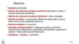 MFMM
Marcha
• Espástica (ceifante)
• Atáxica da Síndrome cordonal posterior (olha para o solo) =>
marcha talonante (tabética)
• Atáxica da síndrome cerebelar (ebriosa)=> base alargada
• Marcha parética =>escarvante, (flexão da coxa sobre a bacia,
lesão nervo ciático poplíteo externo )
• Marcha miopatia => anserina
• Afecções extrapiramidais=> pequenos passos, perda de
movimentos automáticos associados de membros superiores +
rigidez=> bloco (Doença de Parkinson)
• Vestibular – Fukuda => (estrela)
 
