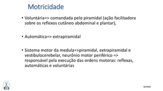 MFMM
Motricidade
• Voluntária=> comandada pelo piramidal (ação facilitadora
sobre os reflexos cutâneo abdominal e plantar),
• Automática=> extrapiramidal
• Sistema motor da medula=>piramidal, extrapiramidal e
vestibulocerebelar, neurônio motor periférico =>
responsável pela execução das ordens motoras: reflexas,
automáticas e voluntárias
 