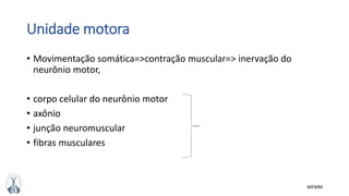 MFMM
Unidade motora
• Movimentação somática=>contração muscular=> inervação do
neurônio motor,
• corpo celular do neurônio motor
• axônio
• junção neuromuscular
• fibras musculares
 