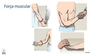 MFMM
Força muscular
 