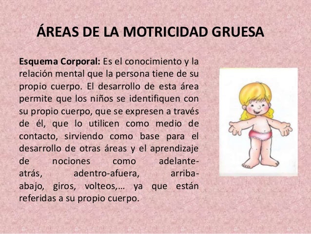 Motricidad gruesa