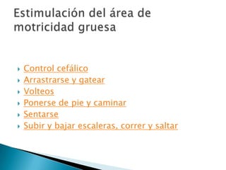 Control cefálicoArrastrarse y gatearVolteosPonerse de pie y caminarSentarseSubir y bajar escaleras, correr y saltarEstimulación del área de motricidad gruesa