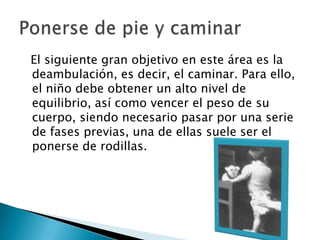   El siguiente gran objetivo en este área es la deambulación, es decir, el caminar. Para ello, el niño debe obtener un alto nivel de equilibrio, así como vencer el peso de su cuerpo, siendo necesario pasar por una serie de fases previas, una de ellas suele ser el ponerse de rodillas.Ponerse de pie y caminar
