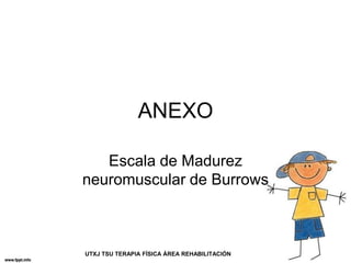ANEXO
Escala de Madurez
neuromuscular de Burrows
UTXJ TSU TERAPIA FÍSICA ÁREA REHABILITACIÓN
 