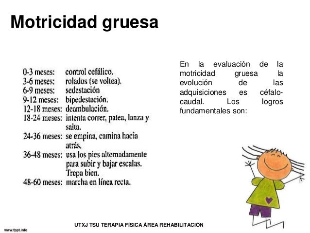 actividades de motricidad fina para niños de 12 a 24 meses