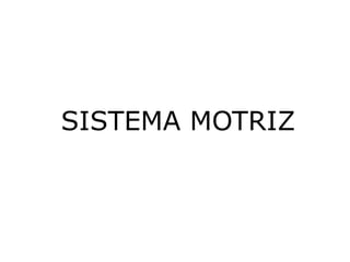 SISTEMA MOTRIZ
 