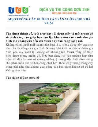 MẸO TRỒNG CÂY KHÔNG CẦN SÂN VƯỜN CHO NHÀ
CHẬT
Tận dụng thùng gỗ, lưới treo hay túi đựng giày là một trong vô
số cách sáng tạo giúp bạn tạo lập khu vườn rau xanh cho gia
đình mà không cần đến sân vườn hay ban công rộng rãi.
Không có gì thoải mái và an toàn hơn là tự trồng được cây quả cho
nhu cầu ăn uống của gia đình. Nhưng khó khăn ở chỗ là nhiều gia
đình yêu cây xanh lại không có khoảng sân vườn trống để thực
hiện được mong muốn đó. Nếu bạn đang rơi vào trường hợp như
trên, thì đây là một số những những ý tưởng đặc biệt dành riêng
cho phần hiên nhà và ban công chật hẹp, thêm cả ý tưởng trồng cây
trong nhà nếu như không gian sống của bạn cũng không có cả hai
không gian trên.
Tận dụng thùng rượu gỗ
 