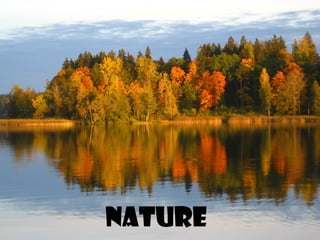 Nature
 