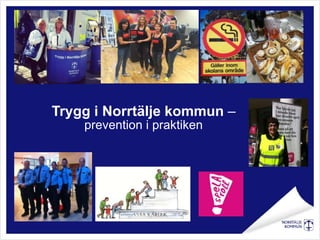 Trygg i Norrtälje kommun –
prevention i praktiken
 