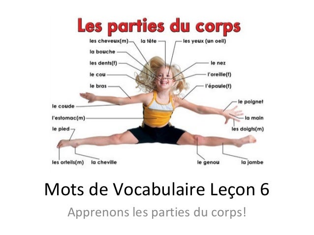 Resultado de imagen de vocabulaire les parties du corps