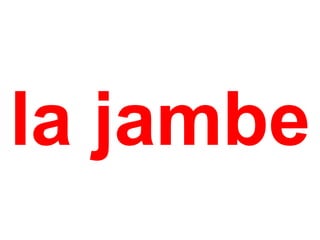 la jambe