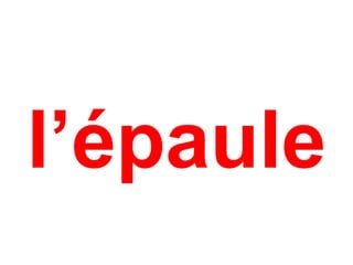 l’épaule
