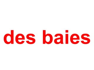 des baies
