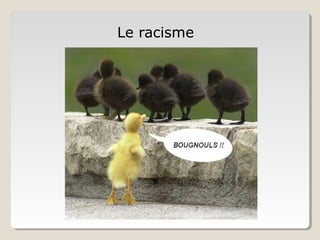 Le racisme
 