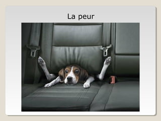 La peur
 