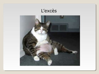 L’excès
 
