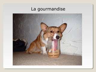 La gourmandise
 