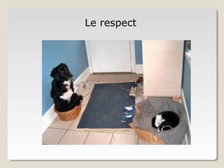 Le respect
 
