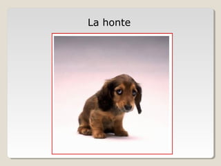 La honte
 