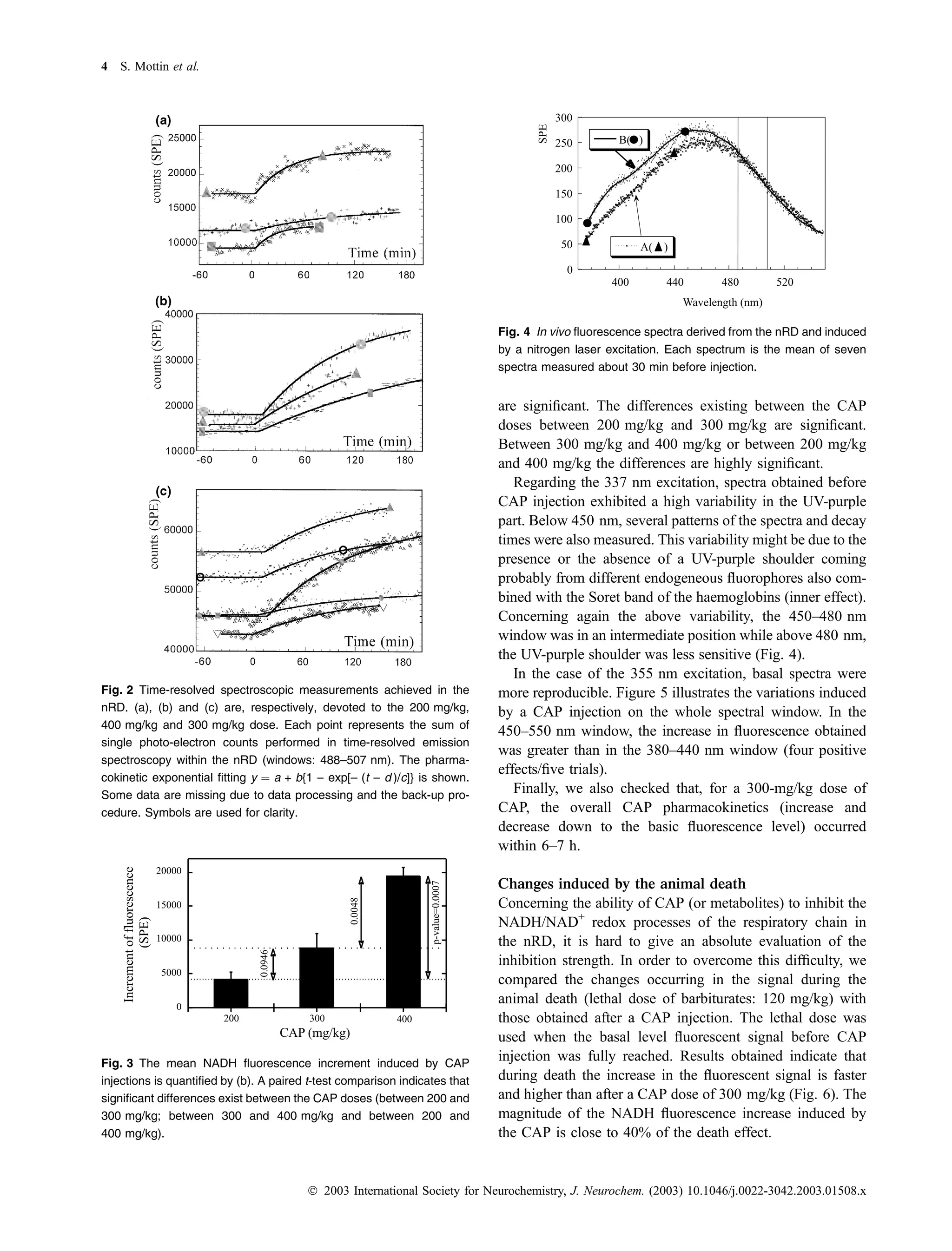 4 S. Mottin et al.




                                                                            Fig. 4 In vivo ﬂuorescence spectra derived from the nRD and induced
                                                                            by a nitrogen laser excitation. Each spectrum is the mean of seven
                                                                            spectra measured about 30 min before injection.


                                                                            are signiﬁcant. The differences existing between the CAP
                                                                            doses between 200 mg/kg and 300 mg/kg are signiﬁcant.
                                                                            Between 300 mg/kg and 400 mg/kg or between 200 mg/kg
                                                                            and 400 mg/kg the differences are highly signiﬁcant.
                                                                               Regarding the 337 nm excitation, spectra obtained before
                                                                            CAP injection exhibited a high variability in the UV-purple
                                                                            part. Below 450 nm, several patterns of the spectra and decay
                                                                            times were also measured. This variability might be due to the
                                                                            presence or the absence of a UV-purple shoulder coming
                                                                            probably from different endogeneous ﬂuorophores also com-
                                                                            bined with the Soret band of the haemoglobins (inner effect).
                                                                            Concerning again the above variability, the 450–480 nm
                                                                            window was in an intermediate position while above 480 nm,
                                                                            the UV-purple shoulder was less sensitive (Fig. 4).
                                                                               In the case of the 355 nm excitation, basal spectra were
Fig. 2 Time-resolved spectroscopic measurements achieved in the             more reproducible. Figure 5 illustrates the variations induced
nRD. (a), (b) and (c) are, respectively, devoted to the 200 mg/kg,          by a CAP injection on the whole spectral window. In the
400 mg/kg and 300 mg/kg dose. Each point represents the sum of
                                                                            450–550 nm window, the increase in ﬂuorescence obtained
single photo-electron counts performed in time-resolved emission
                                                                            was greater than in the 380–440 nm window (four positive
spectroscopy within the nRD (windows: 488–507 nm). The pharma-
                                                                            effects/ﬁve trials).
cokinetic exponential ﬁtting y ¼ a + b{1 ) exp[– (t ) d )/c]} is shown.
Some data are missing due to data processing and the back-up pro-
                                                                               Finally, we also checked that, for a 300-mg/kg dose of
cedure. Symbols are used for clarity.                                       CAP, the overall CAP pharmacokinetics (increase and
                                                                            decrease down to the basic ﬂuorescence level) occurred
                                                                            within 6–7 h.

                                                                            Changes induced by the animal death
                                                                            Concerning the ability of CAP (or metabolites) to inhibit the
                                                                            NADH/NAD+ redox processes of the respiratory chain in
                                                                            the nRD, it is hard to give an absolute evaluation of the
                                                                            inhibition strength. In order to overcome this difﬁculty, we
                                                                            compared the changes occurring in the signal during the
                                                                            animal death (lethal dose of barbiturates: 120 mg/kg) with
                                                                            those obtained after a CAP injection. The lethal dose was
                                                                            used when the basal level ﬂuorescent signal before CAP
Fig. 3 The mean NADH ﬂuorescence increment induced by CAP
                                                                            injection was fully reached. Results obtained indicate that
injections is quantiﬁed by (b). A paired t-test comparison indicates that   during death the increase in the ﬂuorescent signal is faster
signiﬁcant differences exist between the CAP doses (between 200 and         and higher than after a CAP dose of 300 mg/kg (Fig. 6). The
300 mg/kg; between 300 and 400 mg/kg and between 200 and                    magnitude of the NADH ﬂuorescence increase induced by
400 mg/kg).                                                                 the CAP is close to 40% of the death effect.


                                        Ó 2003 International Society for Neurochemistry, J. Neurochem. (2003) 10.1046/j.0022-3042.2003.01508.x
 