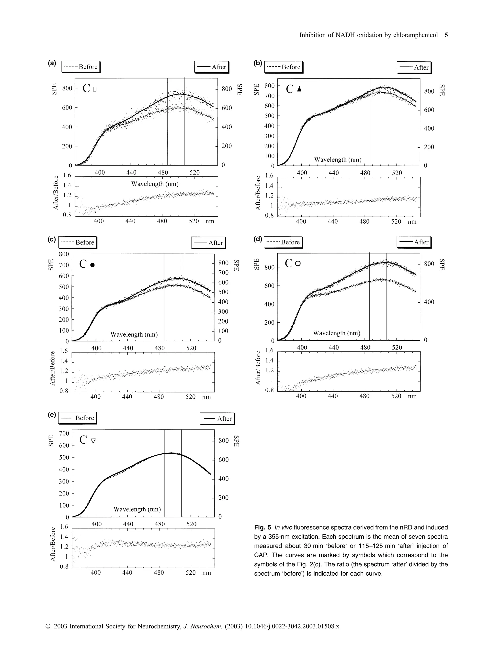 Inhibition of NADH oxidation by chloramphenicol 5




                                                                        Fig. 5 In vivo ﬂuorescence spectra derived from the nRD and induced
                                                                        by a 355-nm excitation. Each spectrum is the mean of seven spectra
                                                                        measured about 30 min ÔbeforeÕ or 115–125 min ÔafterÕ injection of
                                                                        CAP. The curves are marked by symbols which correspond to the
                                                                        symbols of the Fig. 2(c). The ratio (the spectrum ÔafterÕ divided by the
                                                                        spectrum ÔbeforeÕ) is indicated for each curve.




Ó 2003 International Society for Neurochemistry, J. Neurochem. (2003) 10.1046/j.0022-3042.2003.01508.x
 