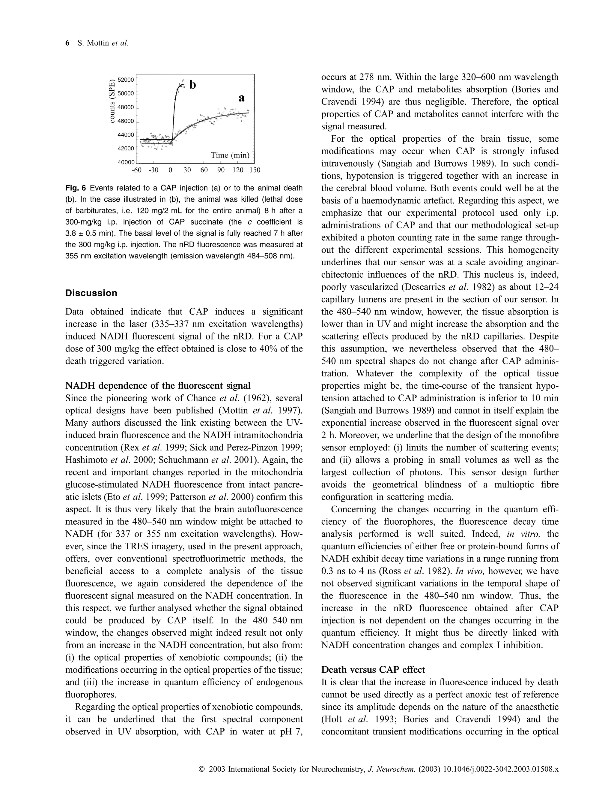 6 S. Mottin et al.



                                                                           occurs at 278 nm. Within the large 320–600 nm wavelength
                                                                           window, the CAP and metabolites absorption (Bories and
                                                                           Cravendi 1994) are thus negligible. Therefore, the optical
                                                                           properties of CAP and metabolites cannot interfere with the
                                                                           signal measured.
                                                                              For the optical properties of the brain tissue, some
                                                                           modiﬁcations may occur when CAP is strongly infused
                                                                           intravenously (Sangiah and Burrows 1989). In such condi-
                                                                           tions, hypotension is triggered together with an increase in
Fig. 6 Events related to a CAP injection (a) or to the animal death        the cerebral blood volume. Both events could well be at the
(b). In the case illustrated in (b), the animal was killed (lethal dose    basis of a haemodynamic artefact. Regarding this aspect, we
of barbiturates, i.e. 120 mg/2 mL for the entire animal) 8 h after a       emphasize that our experimental protocol used only i.p.
300-mg/kg i.p. injection of CAP succinate (the c coefﬁcient is             administrations of CAP and that our methodological set-up
3.8 ± 0.5 min). The basal level of the signal is fully reached 7 h after
                                                                           exhibited a photon counting rate in the same range through-
the 300 mg/kg i.p. injection. The nRD ﬂuorescence was measured at
                                                                           out the different experimental sessions. This homogeneity
355 nm excitation wavelength (emission wavelength 484–508 nm).
                                                                           underlines that our sensor was at a scale avoiding angioar-
                                                                           chitectonic inﬂuences of the nRD. This nucleus is, indeed,
                                                                           poorly vascularized (Descarries et al. 1982) as about 12–24
Discussion
                                                                           capillary lumens are present in the section of our sensor. In
Data obtained indicate that CAP induces a signiﬁcant                       the 480–540 nm window, however, the tissue absorption is
increase in the laser (335–337 nm excitation wavelengths)                  lower than in UV and might increase the absorption and the
induced NADH ﬂuorescent signal of the nRD. For a CAP                       scattering effects produced by the nRD capillaries. Despite
dose of 300 mg/kg the effect obtained is close to 40% of the               this assumption, we nevertheless observed that the 480–
death triggered variation.                                                 540 nm spectral shapes do not change after CAP adminis-
                                                                           tration. Whatever the complexity of the optical tissue
NADH dependence of the ﬂuorescent signal                                   properties might be, the time-course of the transient hypo-
Since the pioneering work of Chance et al. (1962), several                 tension attached to CAP administration is inferior to 10 min
optical designs have been published (Mottin et al. 1997).                  (Sangiah and Burrows 1989) and cannot in itself explain the
Many authors discussed the link existing between the UV-                   exponential increase observed in the ﬂuorescent signal over
induced brain ﬂuorescence and the NADH intramitochondria                   2 h. Moreover, we underline that the design of the monoﬁbre
concentration (Rex et al. 1999; Sick and Perez-Pinzon 1999;                sensor employed: (i) limits the number of scattering events;
Hashimoto et al. 2000; Schuchmann et al. 2001). Again, the                 and (ii) allows a probing in small volumes as well as the
recent and important changes reported in the mitochondria                  largest collection of photons. This sensor design further
glucose-stimulated NADH ﬂuorescence from intact pancre-                    avoids the geometrical blindness of a multioptic ﬁbre
atic islets (Eto et al. 1999; Patterson et al. 2000) conﬁrm this           conﬁguration in scattering media.
aspect. It is thus very likely that the brain autoﬂuorescence                 Concerning the changes occurring in the quantum efﬁ-
measured in the 480–540 nm window might be attached to                     ciency of the ﬂuorophores, the ﬂuorescence decay time
NADH (for 337 or 355 nm excitation wavelengths). How-                      analysis performed is well suited. Indeed, in vitro, the
ever, since the TRES imagery, used in the present approach,                quantum efﬁciencies of either free or protein-bound forms of
offers, over conventional spectroﬂuorimetric methods, the                  NADH exhibit decay time variations in a range running from
beneﬁcial access to a complete analysis of the tissue                      0.3 ns to 4 ns (Ross et al. 1982). In vivo, however, we have
ﬂuorescence, we again considered the dependence of the                     not observed signiﬁcant variations in the temporal shape of
ﬂuorescent signal measured on the NADH concentration. In                   the ﬂuorescence in the 480–540 nm window. Thus, the
this respect, we further analysed whether the signal obtained              increase in the nRD ﬂuorescence obtained after CAP
could be produced by CAP itself. In the 480–540 nm                         injection is not dependent on the changes occurring in the
window, the changes observed might indeed result not only                  quantum efﬁciency. It might thus be directly linked with
from an increase in the NADH concentration, but also from:                 NADH concentration changes and complex I inhibition.
(i) the optical properties of xenobiotic compounds; (ii) the
modiﬁcations occurring in the optical properties of the tissue;            Death versus CAP effect
and (iii) the increase in quantum efﬁciency of endogenous                  It is clear that the increase in ﬂuorescence induced by death
ﬂuorophores.                                                               cannot be used directly as a perfect anoxic test of reference
   Regarding the optical properties of xenobiotic compounds,               since its amplitude depends on the nature of the anaesthetic
it can be underlined that the ﬁrst spectral component                      (Holt et al. 1993; Bories and Cravendi 1994) and the
observed in UV absorption, with CAP in water at pH 7,                      concomitant transient modiﬁcations occurring in the optical


                                        Ó 2003 International Society for Neurochemistry, J. Neurochem. (2003) 10.1046/j.0022-3042.2003.01508.x
 