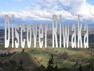 Discover Riwaka 