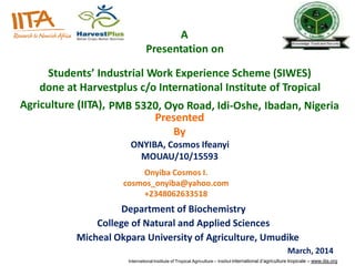 A
Presentation on
Students’ Industrial Work Experience Scheme (SIWES)
done at Harvestplus c/o International Institute of Tropical
Agriculture (IITA), PMB 5320, Oyo Road, Idi-Oshe, Ibadan, Nigeria
Presented
By
ONYIBA, Cosmos Ifeanyi
MOUAU/10/15593
Department of Biochemistry
College of Natural and Applied Sciences
Micheal Okpara University of Agriculture, Umudike
March, 2014
International Institute of Tropical Agriculture – Institut international d’agriculture tropicale – www.iita.org
Onyiba Cosmos I.
cosmos_onyiba@yahoo.com
+2348062633518
 